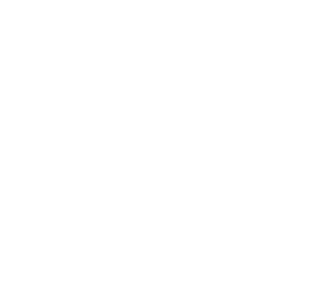VG_logo_300